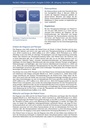 carelit_582124_5.jpg