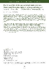 Einsatz von E-Portfolios an der Schnittstelle zwischen Theorie und Praxis des digitalen Lehrens und Lernens in der ersten Phase der beruflichen Lehrer*innenausbildung