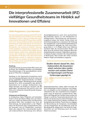 Die interprofessionelle Zusammenarbeit (IPZ) vielfältiger Gesundheitsteams im Hinblick auf Innovationen und Effizienz