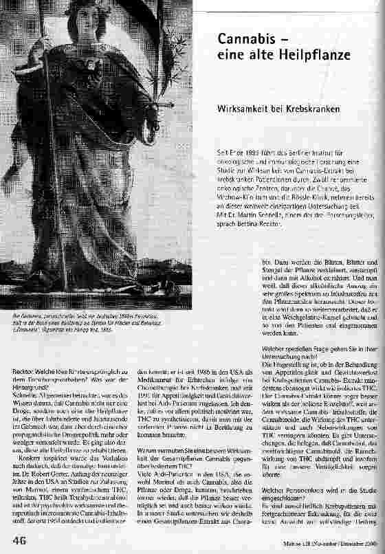 Cannabis - eine alte Heilpflanze Wirksamkeit bei Krebskranken